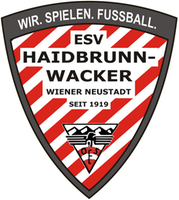 Logo_esv-haidbrunn-wacker-wr.neustadt